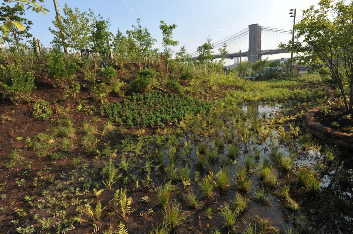 Water — Design Bank, image size:1200x798